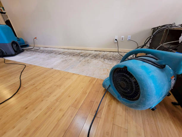 Professional Structural Drying technician working in Unionville Center, OH
